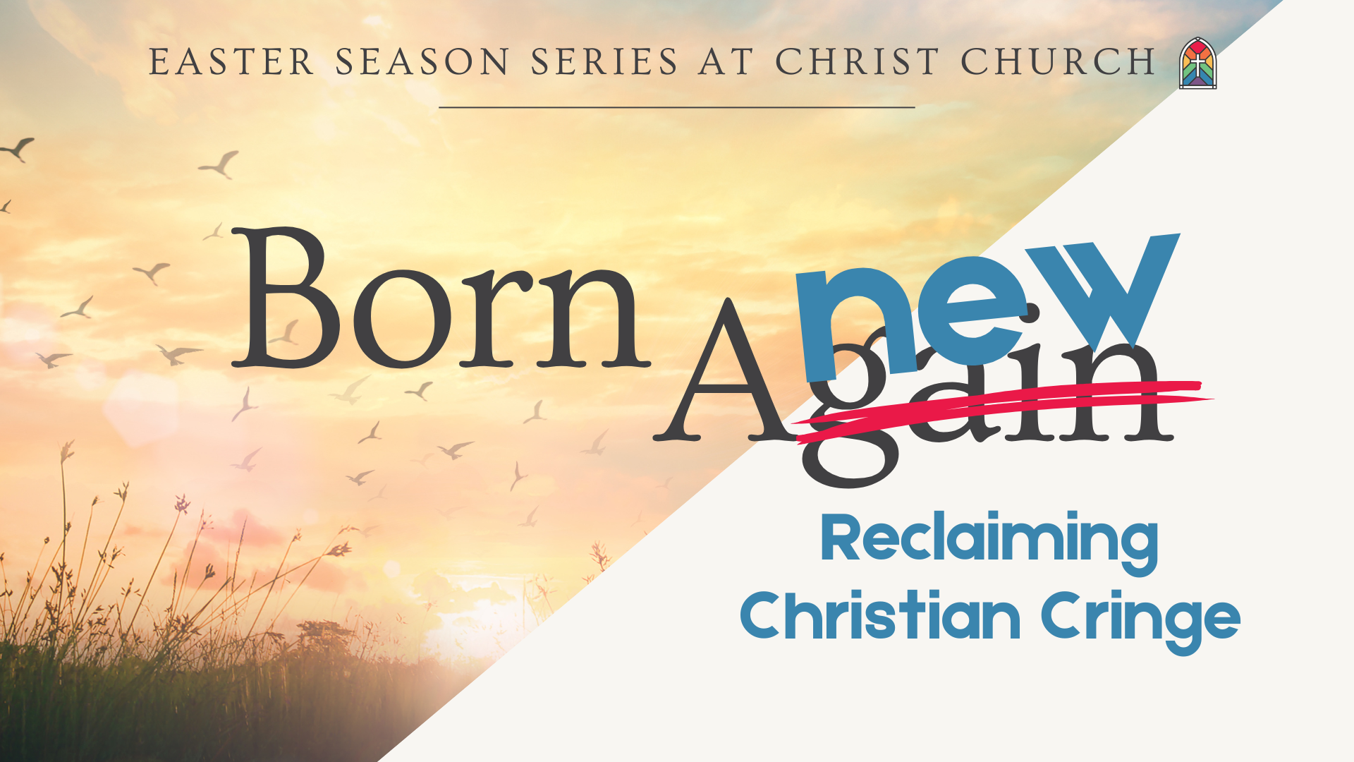 Born Anew Series (2).png